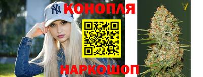 крисы Бийск