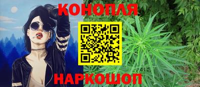 крисы Бийск