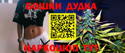 крисы Бийск