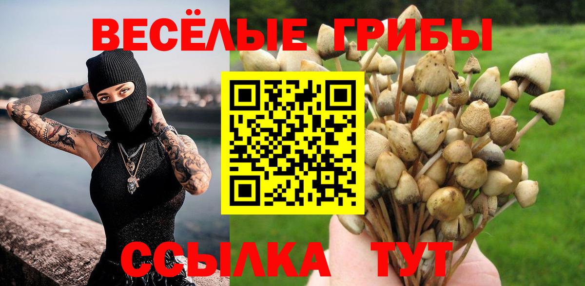 Камышлов  Псилоцибиновые грибы MAGIC MUSHROOMS  Вход с VPN 